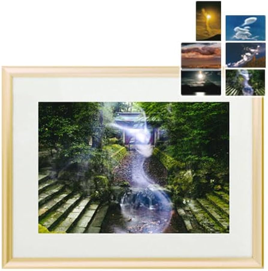 Amazon.co.jp: 秋元隆良 奇跡の写真 「龍神」【龍と鳳凰六景カード特典